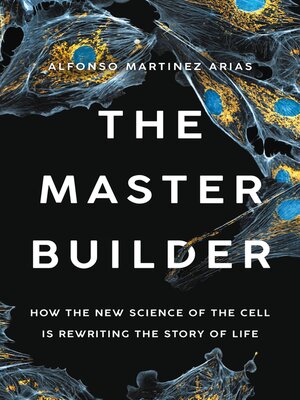 cover image of The Master Builder